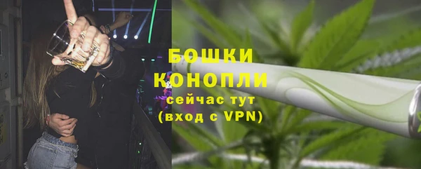 бошки Аркадак