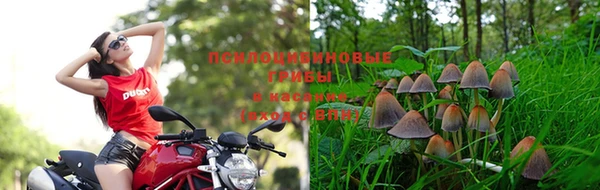 эйфоретик Арсеньев